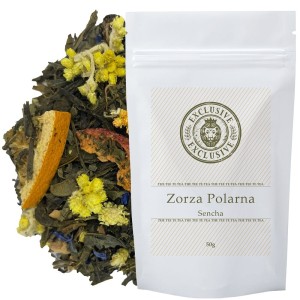 Zorza Polarna